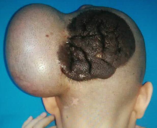 ������������